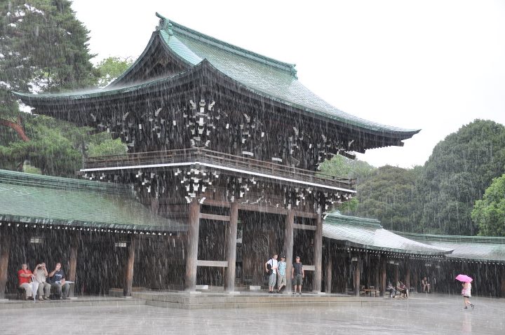It's raining cats and dogs